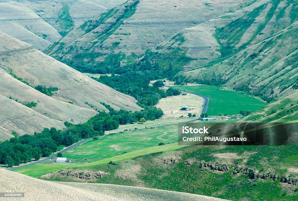 Road through ranch in remote river valley of Washington state Highway through ranch land with alfalfa fields and cows grazing in remote river valley of eastern Washington state Agricultural Field Stock Photo