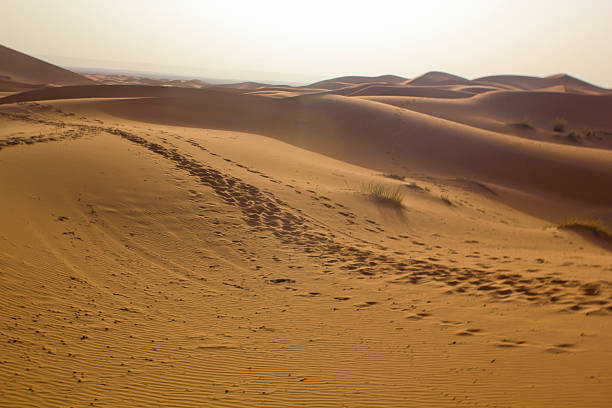 Begin the day in the Erg Chebbi desert