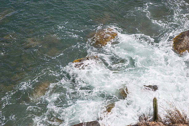 istock Wet stones with moss at the coast 500840182