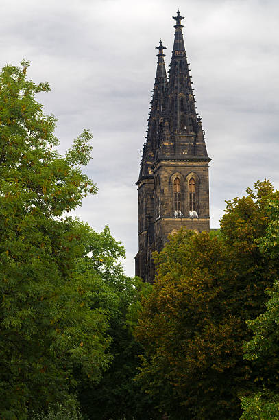 istock Saint Peter and Paul Cathedral  in the green park 500841080