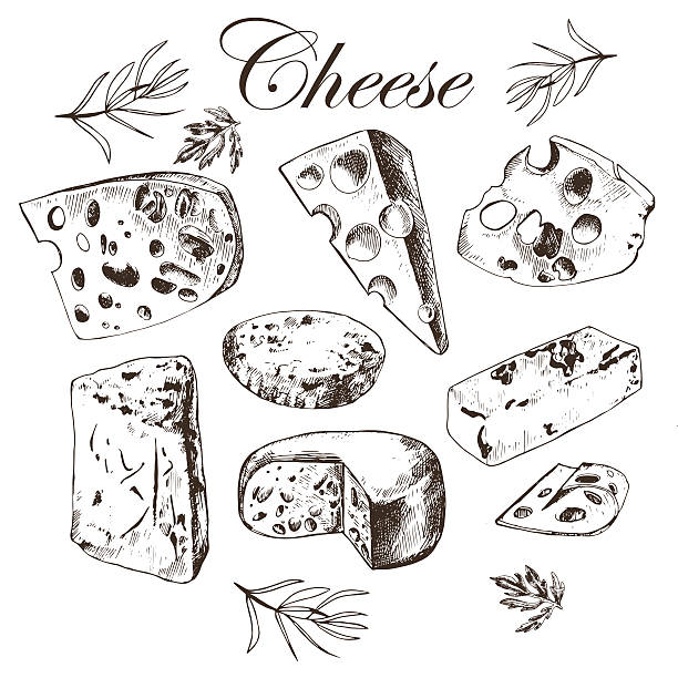 ハンド描画セット、さまざまなチーズ - parsley garnish isolated herb点のイラスト素材／クリップアート素材／マンガ素材／アイコン素材