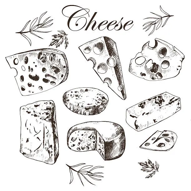 Vector illustration of hand drawing set with different cheeses