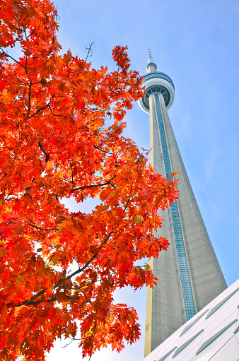 CN Tower in Toronto, Ontario, Canada shot on October 27, 2022.  The tower is a 553.3 meter-high concrete communications and observation tower built on the former Railway Lands.  Completed in 1976, its name \