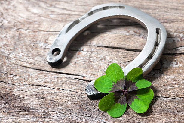 istock Horseshoe and shamrock 500846356