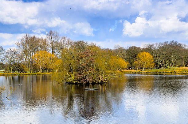 istock Beauty of Nature 500850321