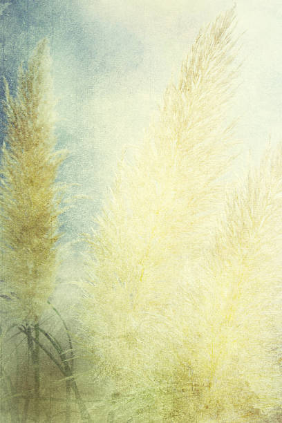 istock Textured old paper background with field and sky 500851939