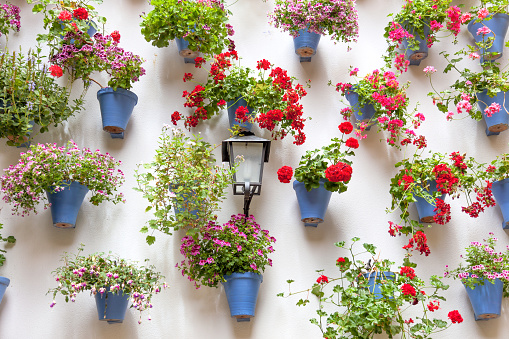 Blue Flowerpots and Red Flowers on a white wall with vintage lantern. Old European town, Spain