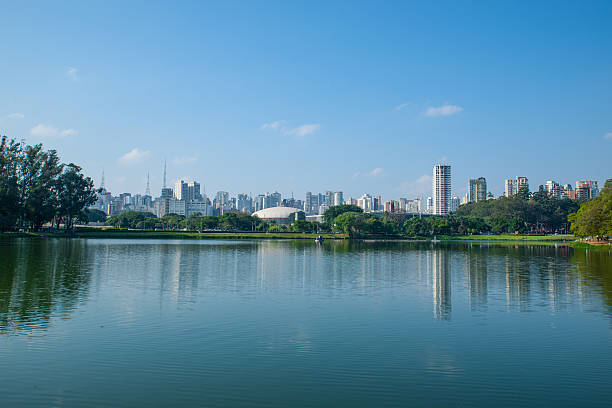istock Sao Paulo, Brazil 500870269