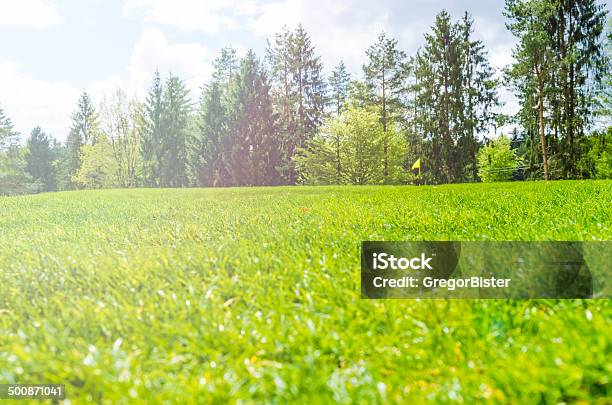 Wiosna Treeline Krajobraz - zdjęcia stockowe i więcej obrazów Jęczmień - Jęczmień, Pole, Tło