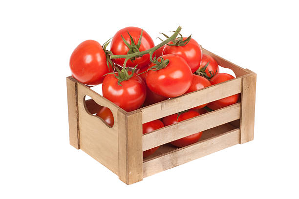 istock fresh tomatoes in a wooden crate isolate on a white 500871468