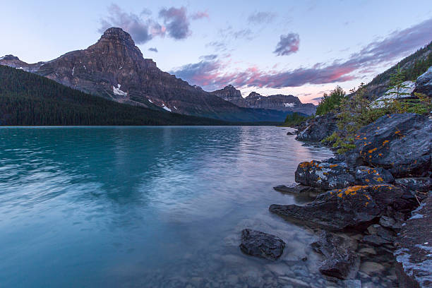 istock Waterfowl Lake sunrise 500872681