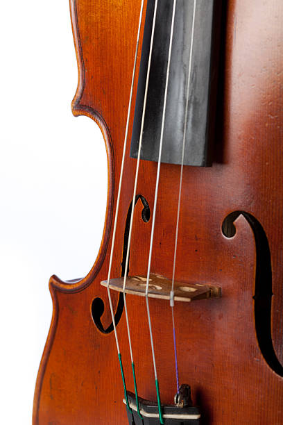 istock Violin isolated on white blackground, close up 500872785