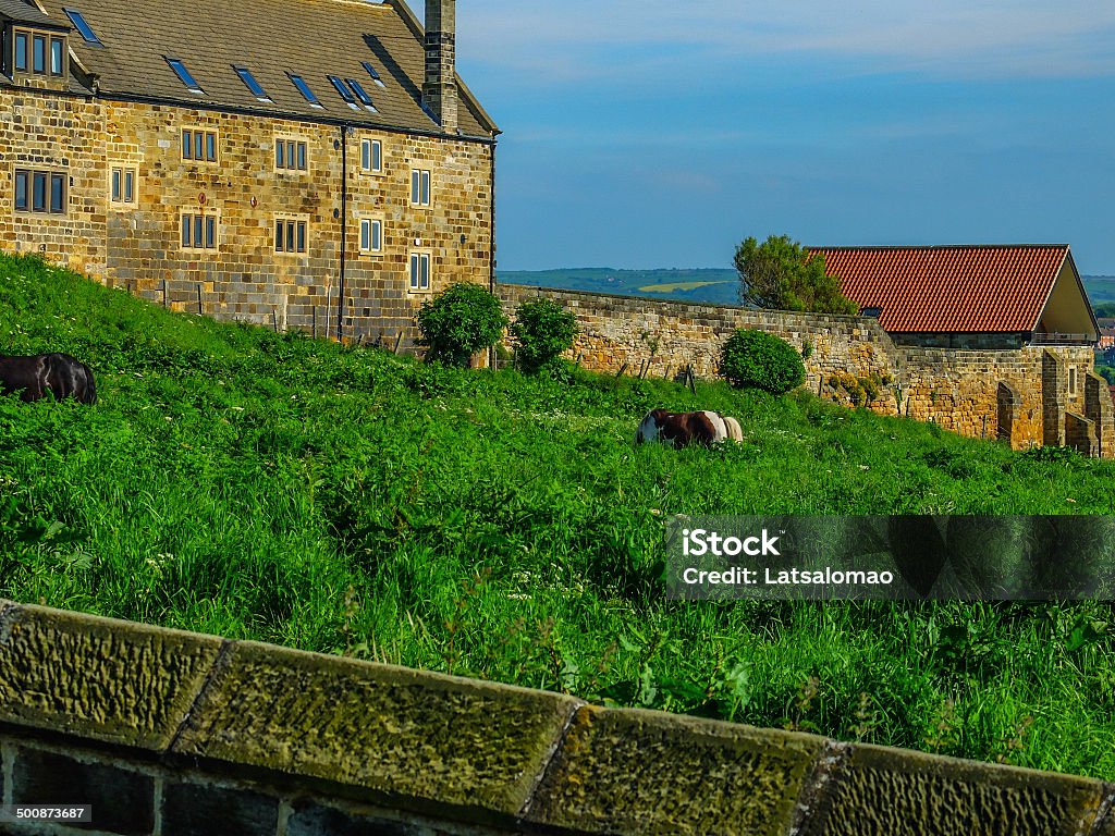 Whitby Abbey Museo - Foto de stock de Abadía libre de derechos