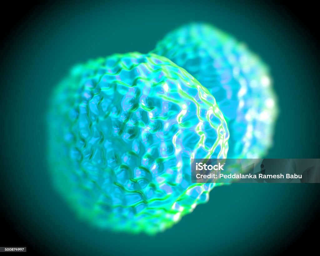 Neisseria meningitidis バクテリア、アートワーク - 3Dのロイヤリティフリーストックフォト