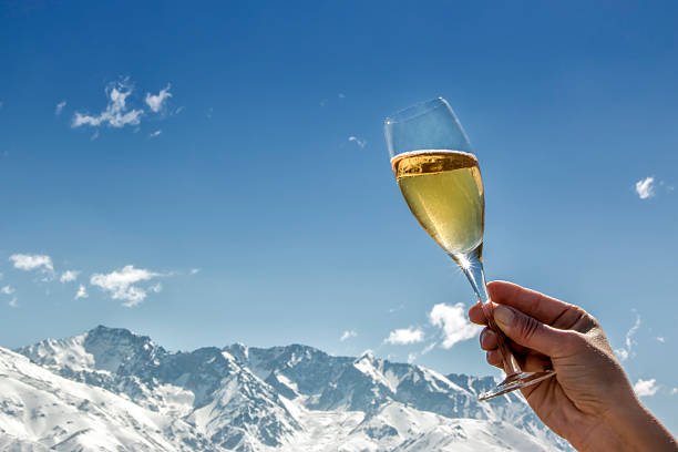istock Raise one´s glass with champagne 500878758