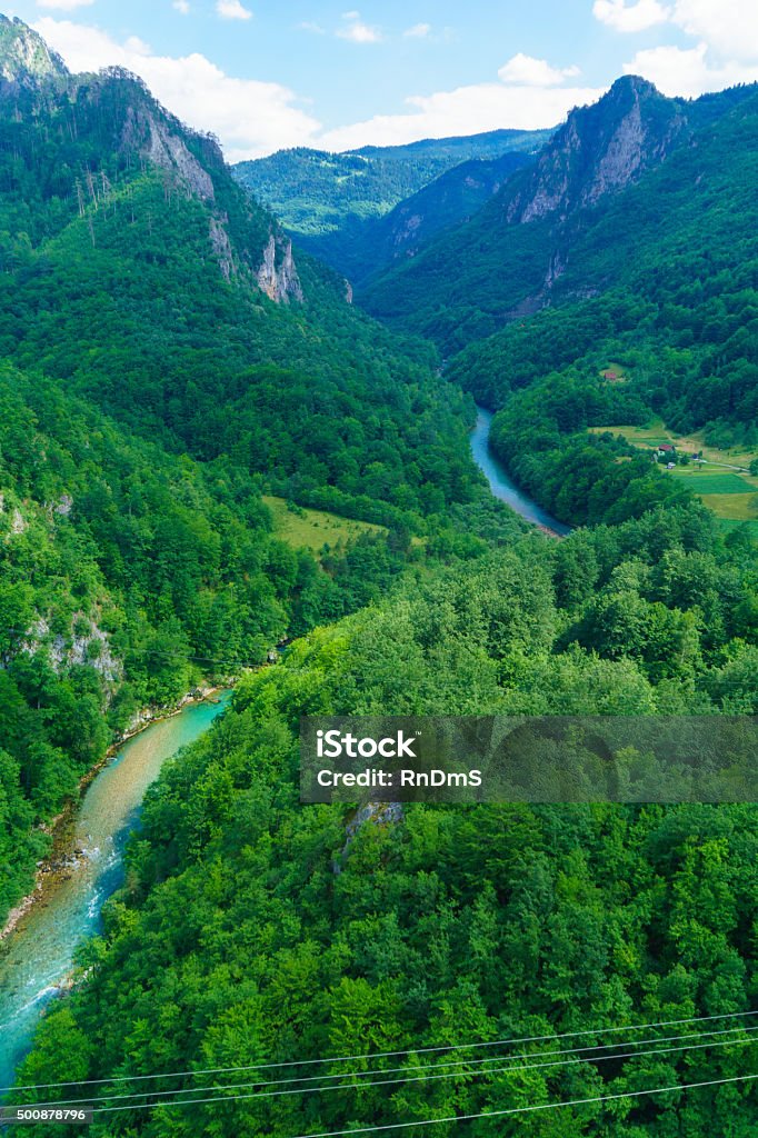 Tara River and Canyon The Tara River and Canyon, and its countryside, in northern Montenegro Agriculture Stock Photo