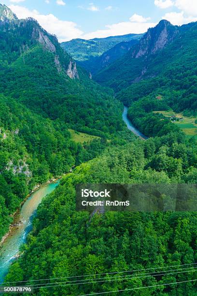 Tara River And Canyon Stock Photo - Download Image Now - Agriculture, Balkan Mountains, Balkans