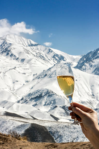 istock Raise one´s glass with champagne 500878802