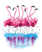 istock Flamingos watercolor painting 500879586