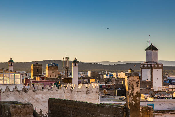 istock Essaouira in Morocco 500880514