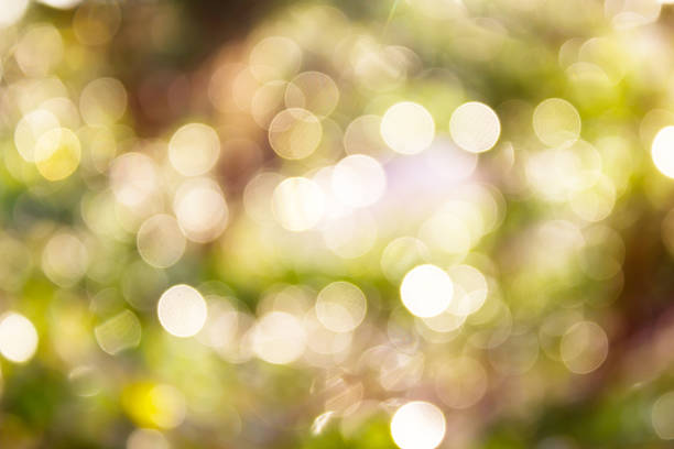 istock Colourful spark and blow natural bokeh for romantic light backgr 500884100
