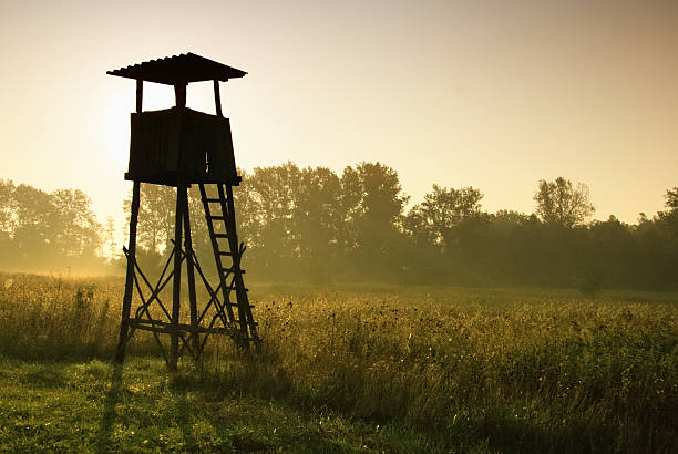 Lookout tower for hunting at dawn in nature
