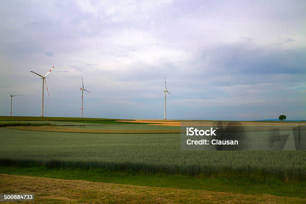 Future Dreams Stock Photo - Download Image Now - Blade, Blue, Cereal Plant