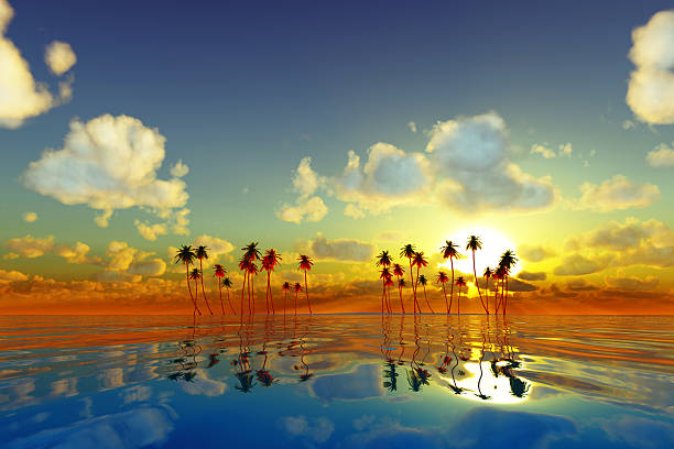 istock yellow sunset over tropic sea 500885153