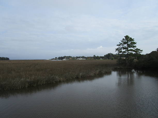 istock RIVER IN GAUTIER, MISSISSIPPI 500885498
