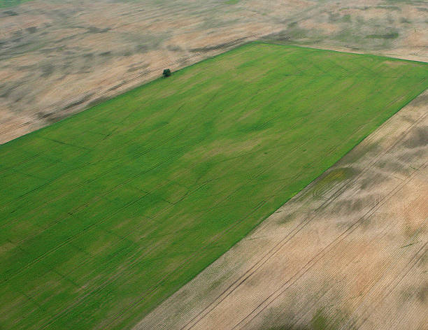 Rural landscape aerial view stock photo