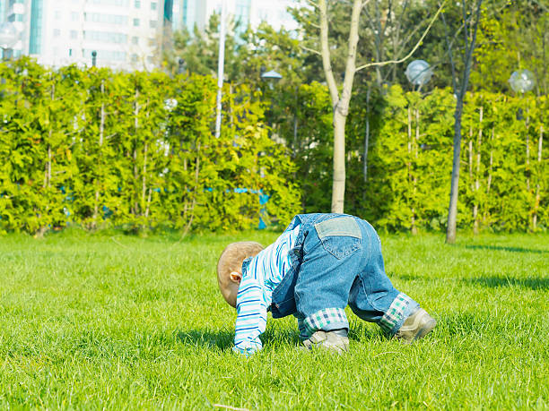 istock Baby in the park 500885865