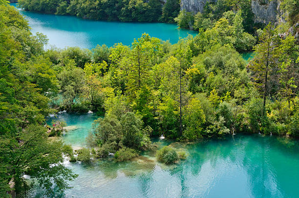 istock Plitvice Lakes National Park, Croatia 500886769