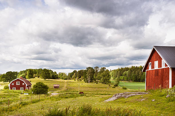 istock Swedish summer landscape 500887179