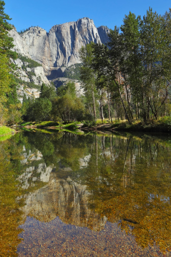 The famous valley of the Merced River in Yosemite. In the clear water reflecting the mountains and the trees