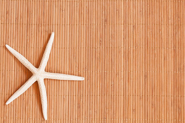 istock Background of a straw mat 500888713