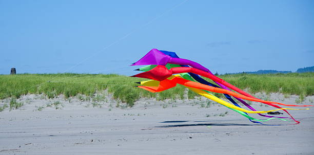 istock Giant kite takes off in Long Beach 500889193