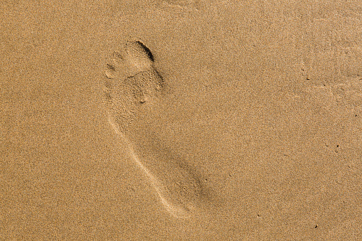 Atlantic coast of Morocco is made up of sand and eroded sandstone rocks.