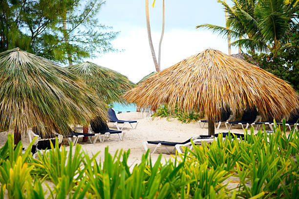 istock tourist resort in the tropics 500899368
