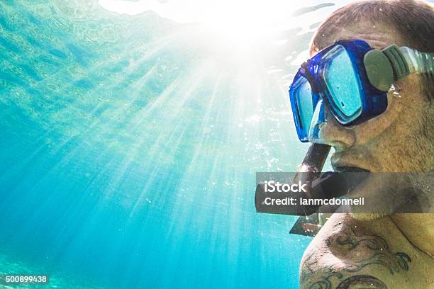 Schnorcheln Stockfoto und mehr Bilder von Fischaugen-Objektiv - Fischaugen-Objektiv, Riff, Big Island - Insel Hawaii