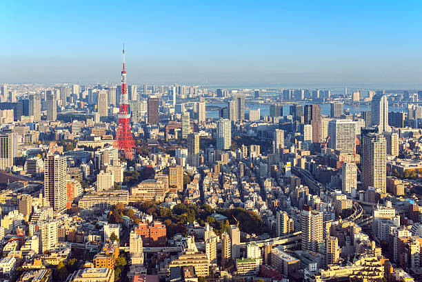 istock Tokyo city skyline 500901108