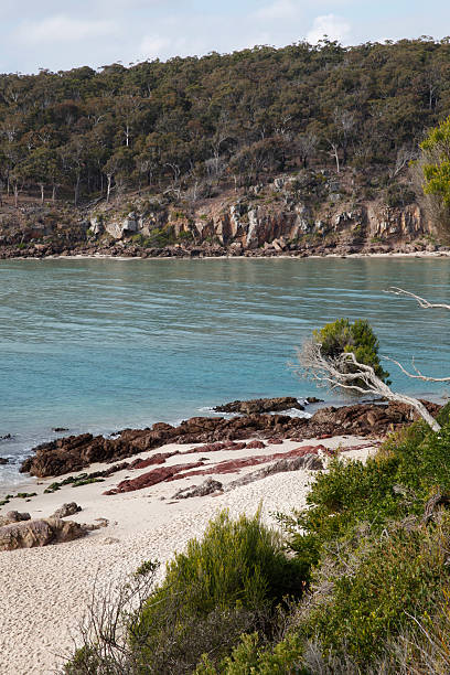 istock Beach, New South Wales, Australia 500901214