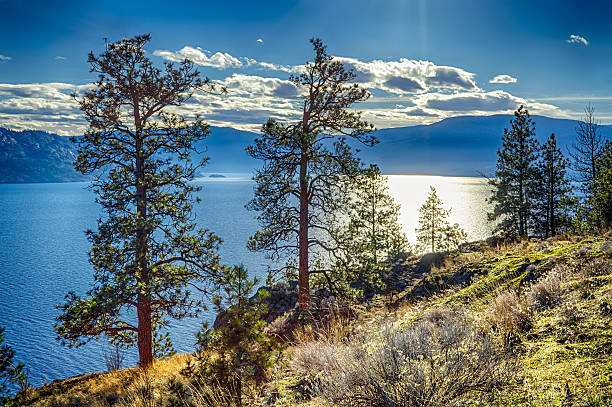 lago okanagan peachland colúmbia britânica, canadá - kelowna okanagan scenics okanagan valley - fotografias e filmes do acervo