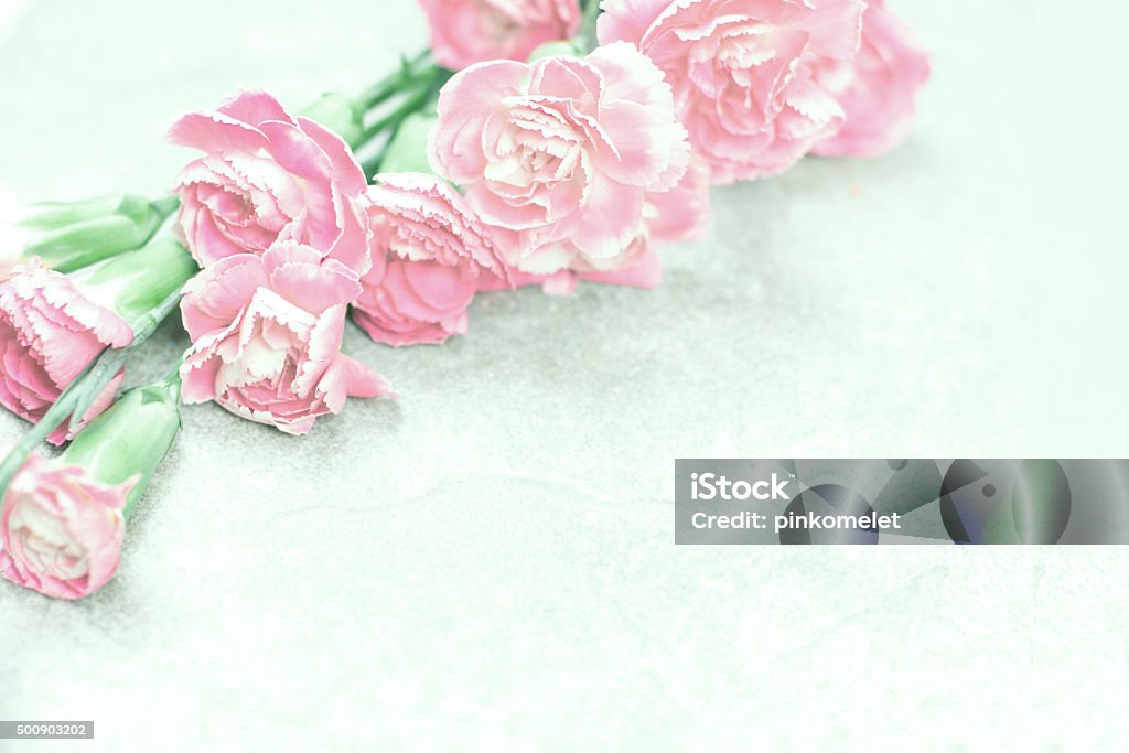 Abstracto Suave Ropa Rosa Flor Fondo De Flor Roja Foto de stock y más banco de imágenes de Amor - Amor, Anticuado, Belleza - iStock Abstracto Suave Ropa Rosa Flor Fondo De Flor Roja Foto de stock y más banco de imágenes de Amor - Amor, Anticuado, Belleza - iStock