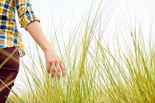 Midsection of woman in casuals walking though meadow. Rear view of female touching long grass. She is walking on field against clear sky.