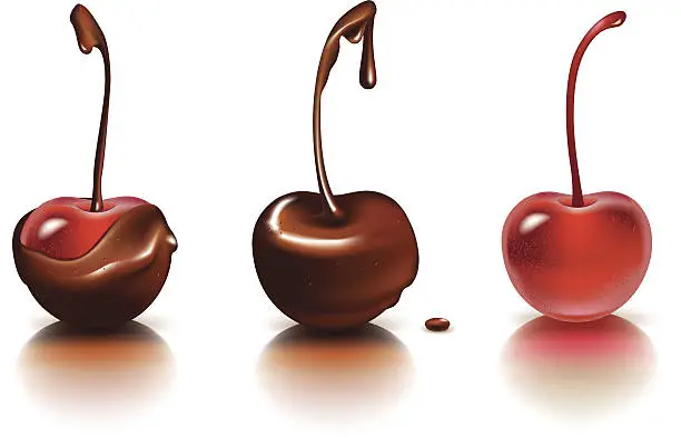 Vector illustration of Chcolate cherries