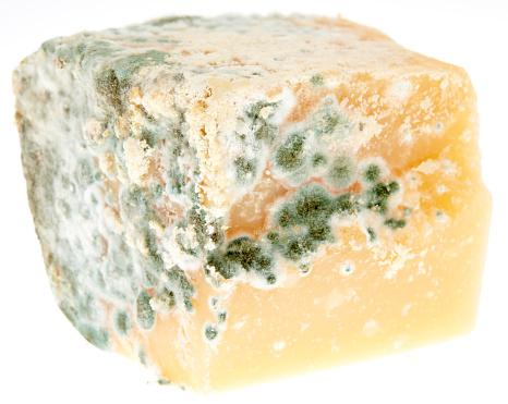 A piece of cheese with mould, isolated on white.