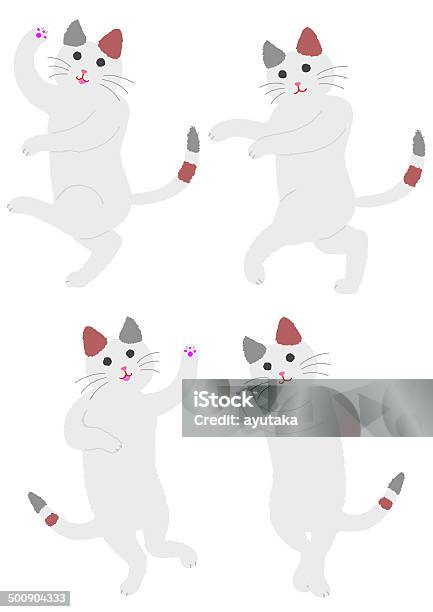 Taniec Perkal Cat - Stockowe grafiki wektorowe i więcej obrazów Antropomorficzny - Antropomorficzny, Białe tło, Cała postać