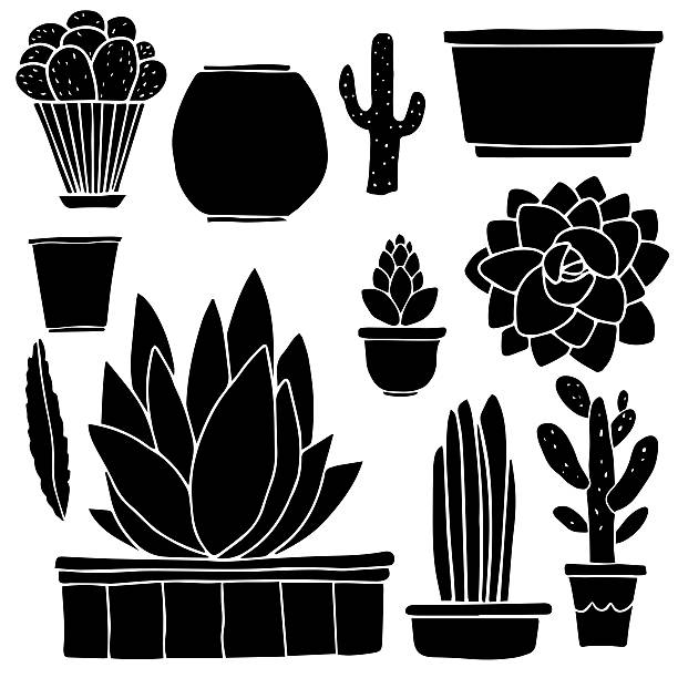 울창한 선인장, houseplants, flowerpots, 메시지함 - flower desert single flower cactus stock illustrations