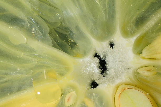 istock lemon detail view center 500905408