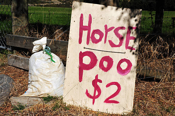 cavalo poo para venda, nova zelândia - horse dung - fotografias e filmes do acervo